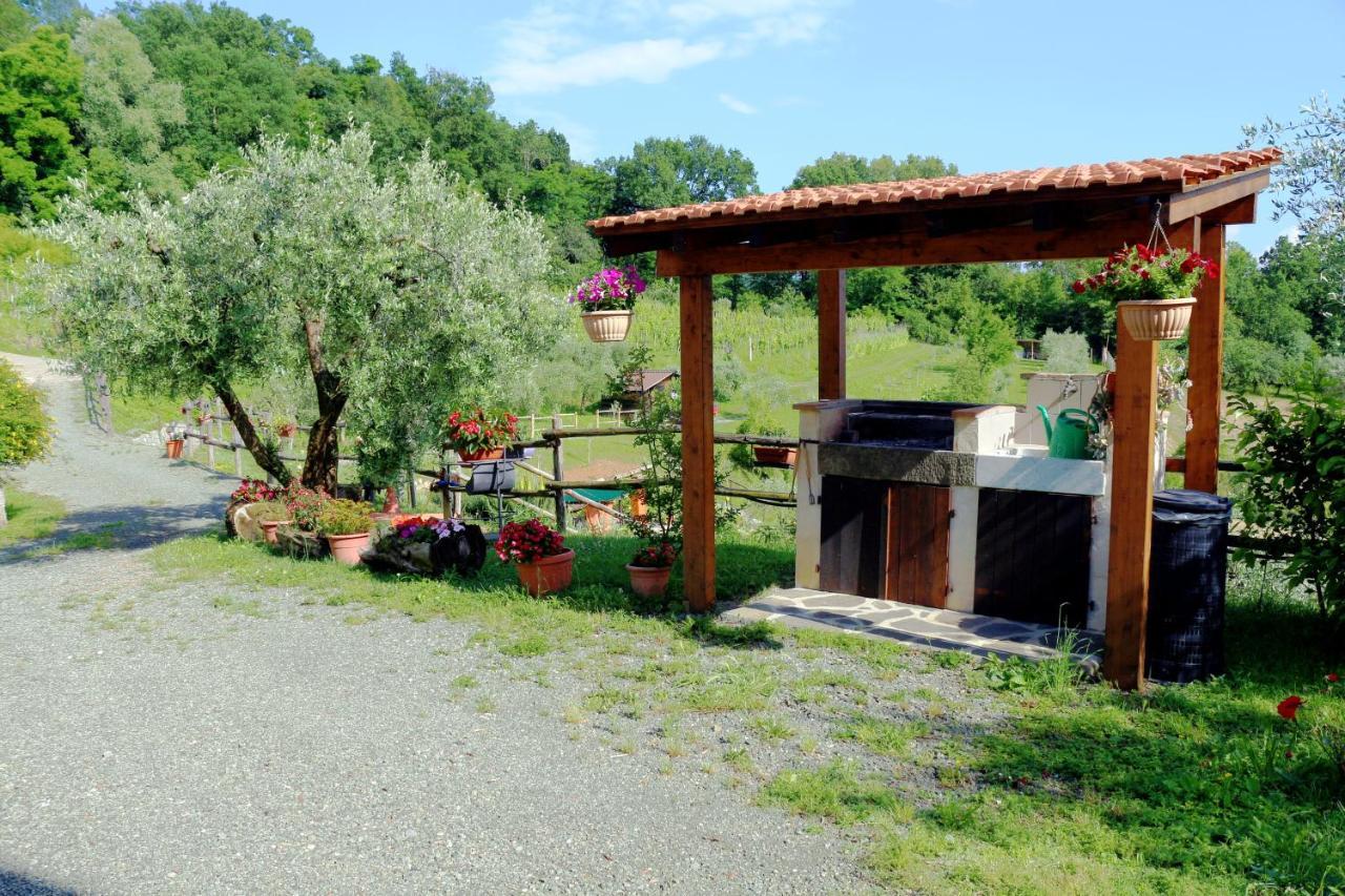 Appartamenti L'Olivo Bagnone Экстерьер фото